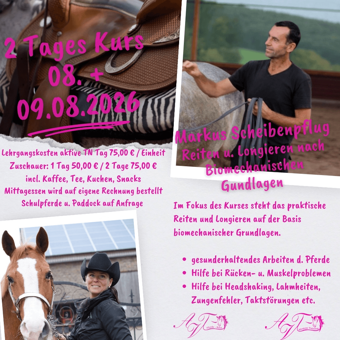 Reiten & Longieren auf biomechanischer Basis