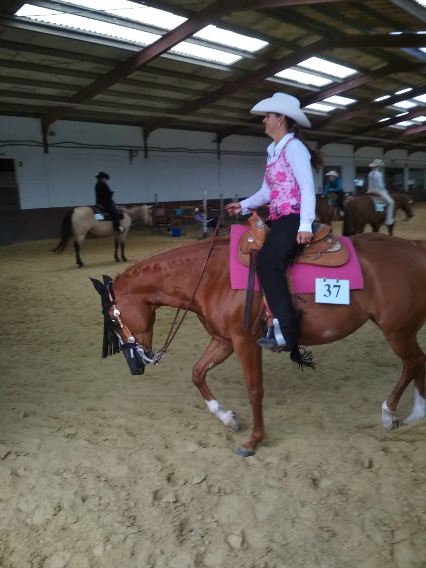 Westernreiterin im Sattel