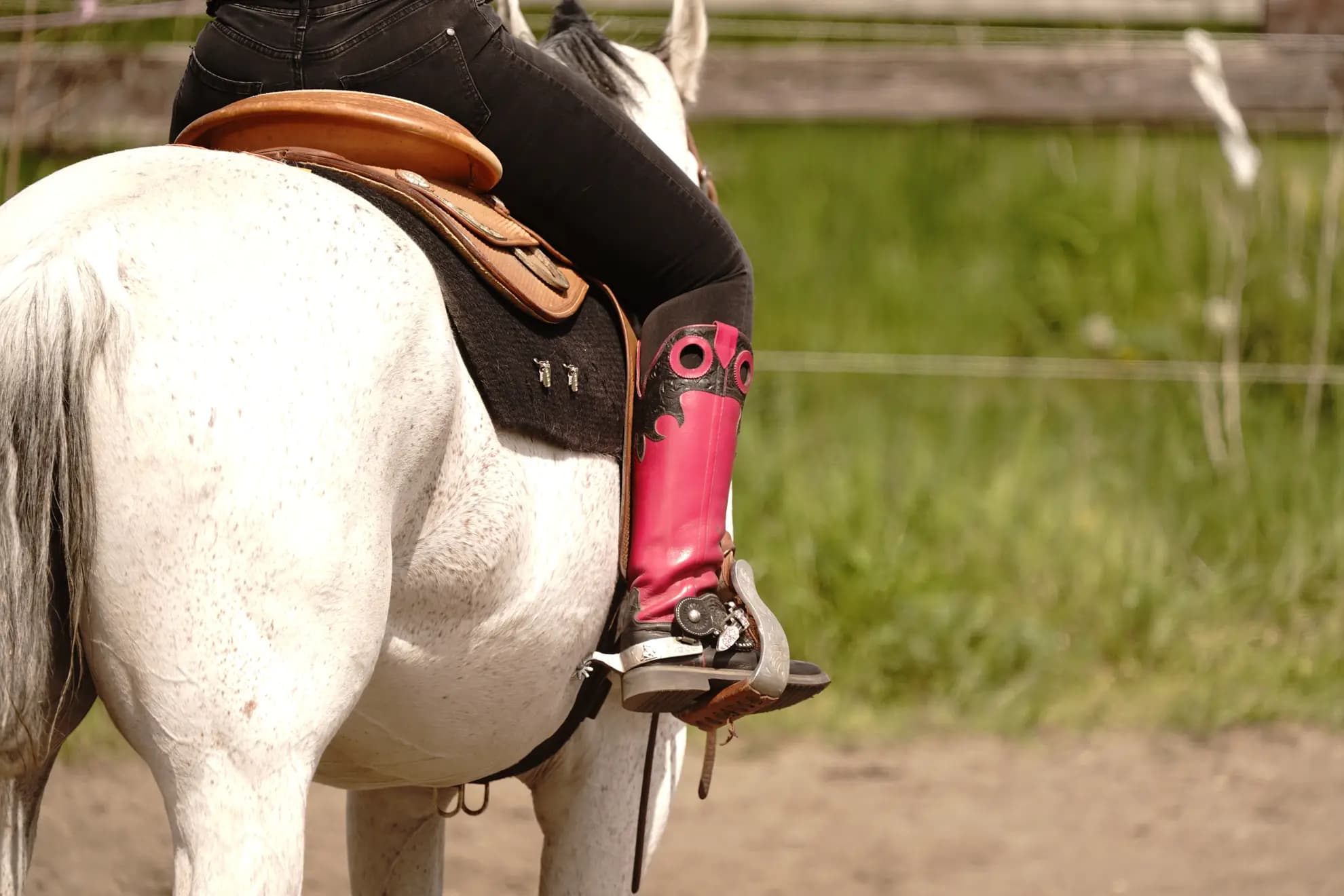 Westernreiten auf dem Reitplatz