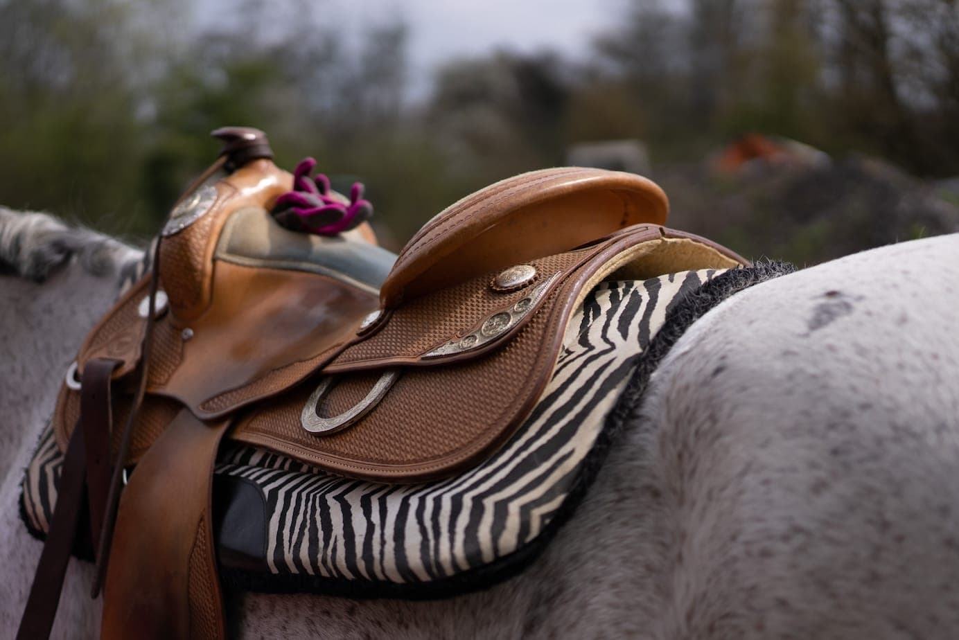 Westernsattel mit Sattelhorn
